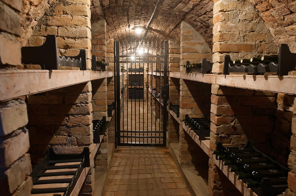 Apartman Cabernet Velke Pavlovice Bilik gambar